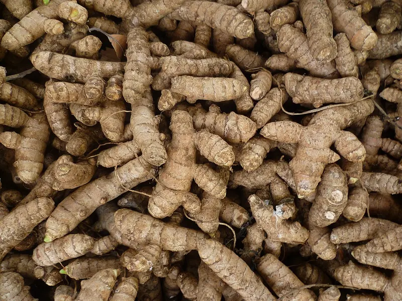 Erode turmeric gets a geographical indication