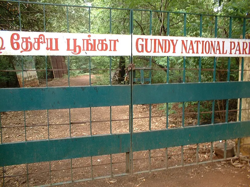 Guindy declared a national park