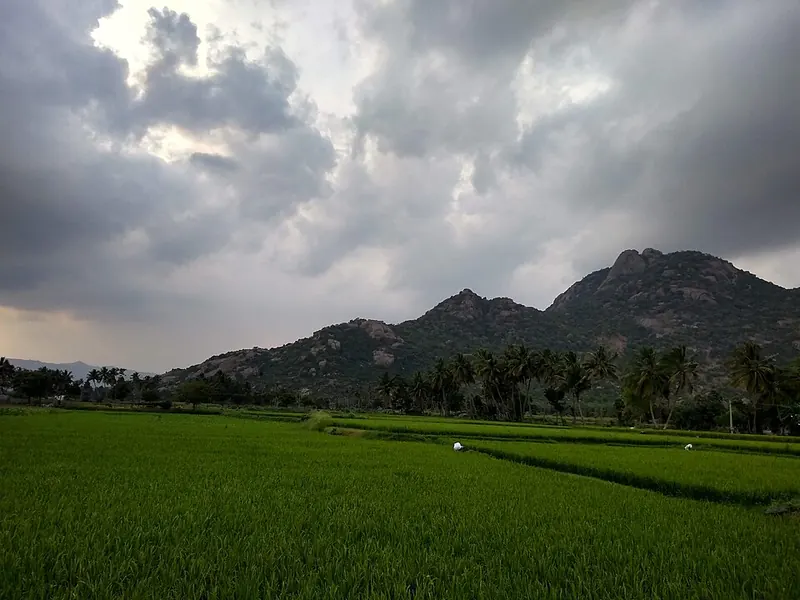 Kallakurichi district formed