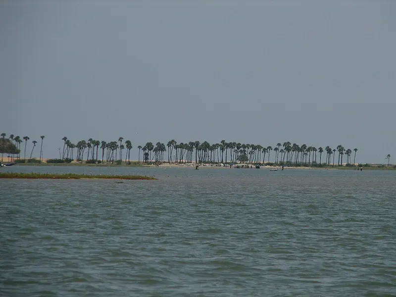 Tamil Nadu part of Pulicat Lake declared a bird sanctuary
