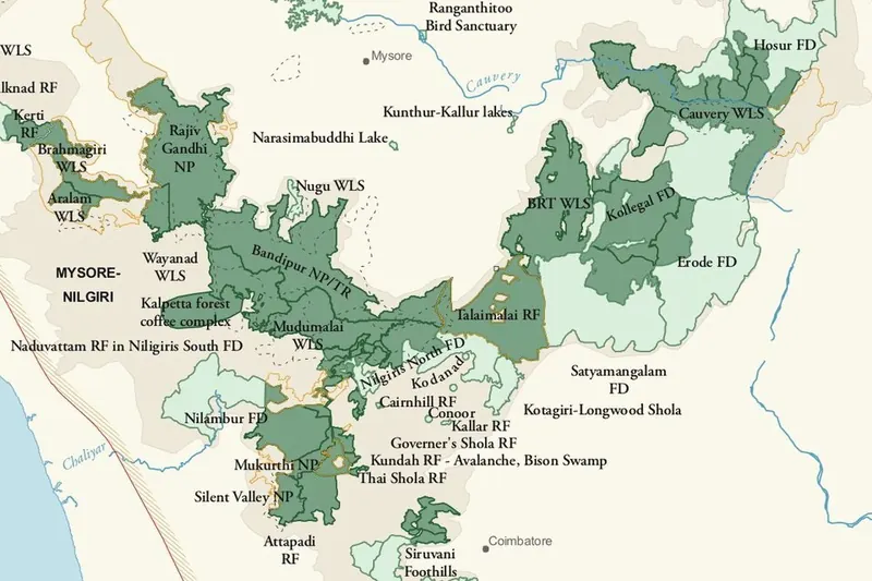 Sathyamangalam declared a tiger reserve